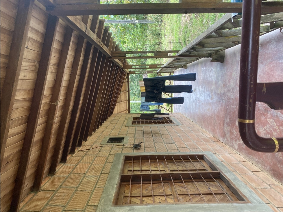 LOTE en Gestion - Sahagun, Cordoba - 1