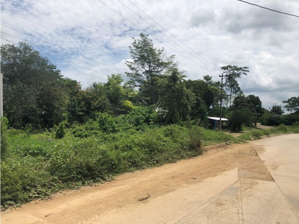 LOTE en Gestion - Sampues, Sucre - 1