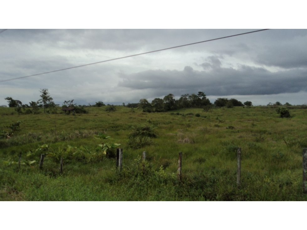 LOTE en Gestion - San Andres De Tumaco, Nariño