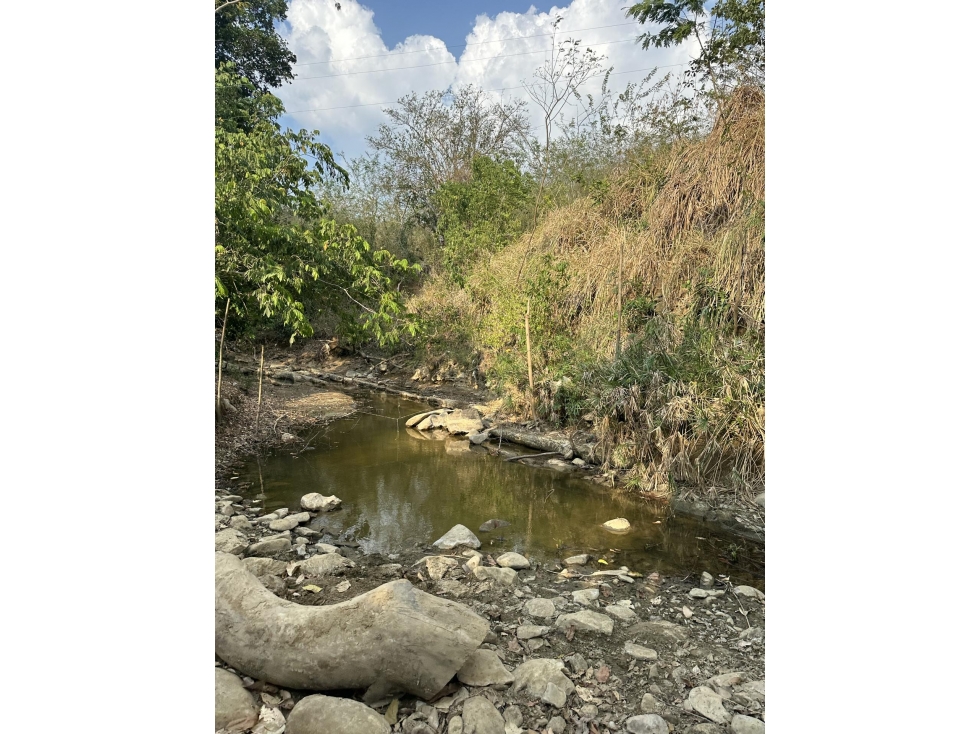 LOTE en Gestion - San Jacinto, Bolívar - 1