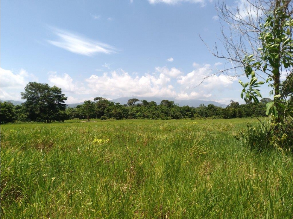 LOTE en Gestion - San Jose De Cucuta, Norte De Santander — foto 2
