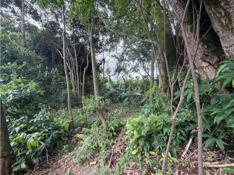 LOTE en Gestion - SAN MARTÍN, META - 2