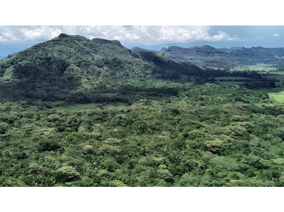 LOTE en Gestion - San Sebastian De Mariquita, Tolima