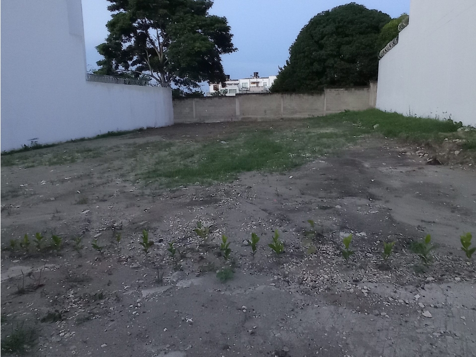 Lote en venta - Sincelejo, Sucre - 1