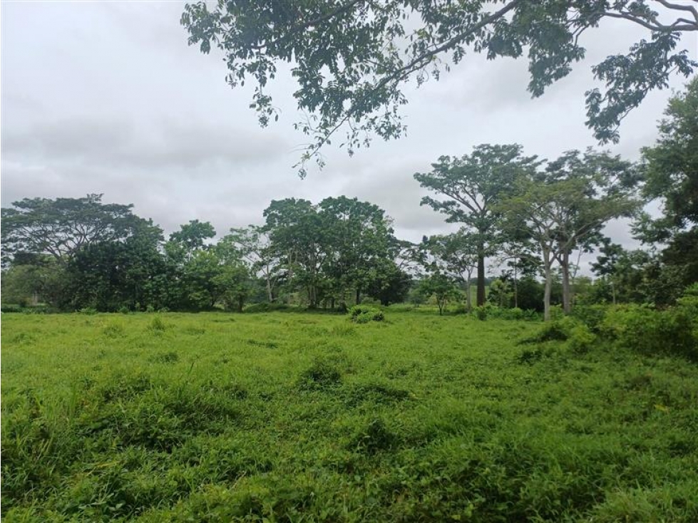 LOTE en Gestion - Tierralta, Cordoba - 1