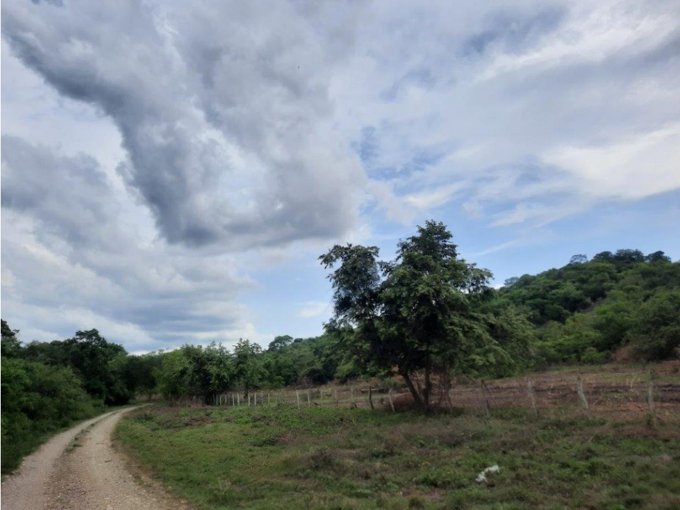 LOTE en Gestion - Venadillo, Tolima - 1