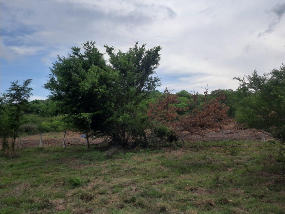 LOTE en Gestion - Venadillo, Tolima - 1