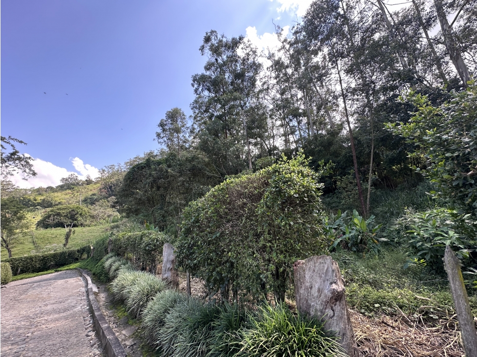 LOTE en Gestion - Venecia, Antioquia