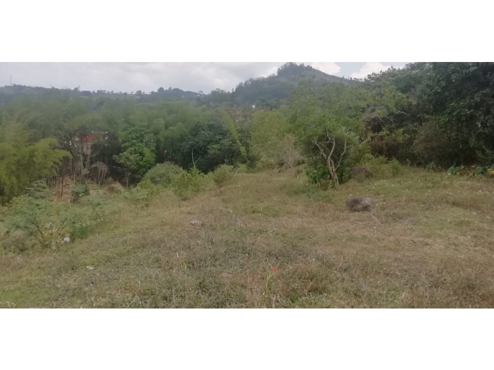 LOTE en Gestion - Venecia, Antioquia