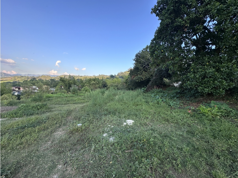LOTE en Gestion - Venecia, Antioquia