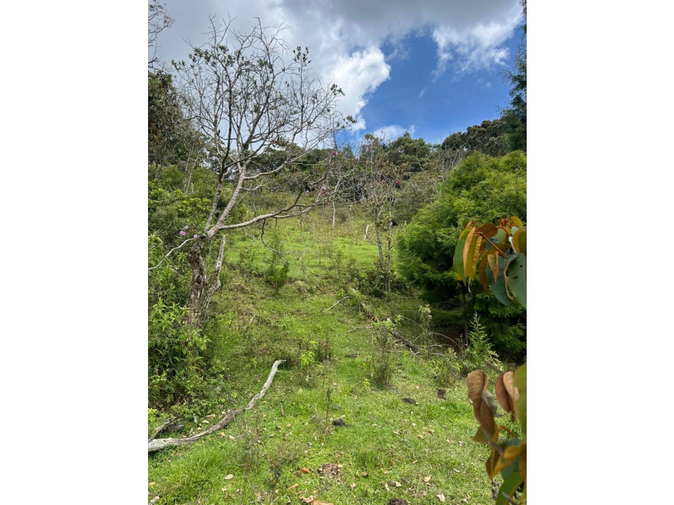 Lote en Guarne a 5 min de la Autopista Medellín Bogotá — foto 2