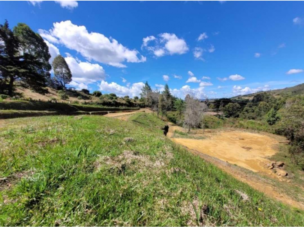 Lote en Guarne de 8.300 m² con lindero de agua acepta permuta — foto 4
