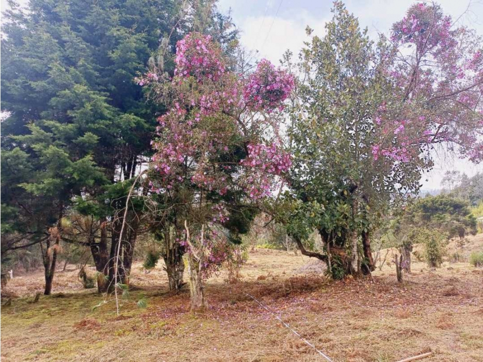 LOTE EN GUARNE VEREDA PIEDRAS BLANCAS