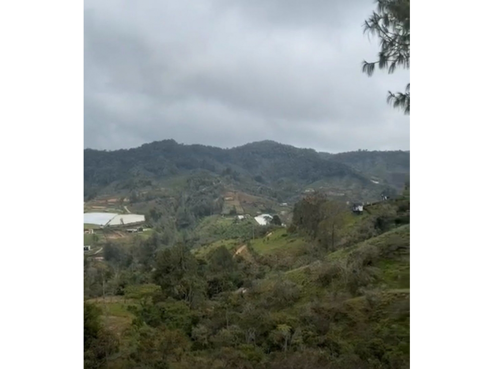 LOTE EN GUATAPE CON EXPLANACION A 7 KMS DE LA PIEDRA DEL PEÑOL — foto 6