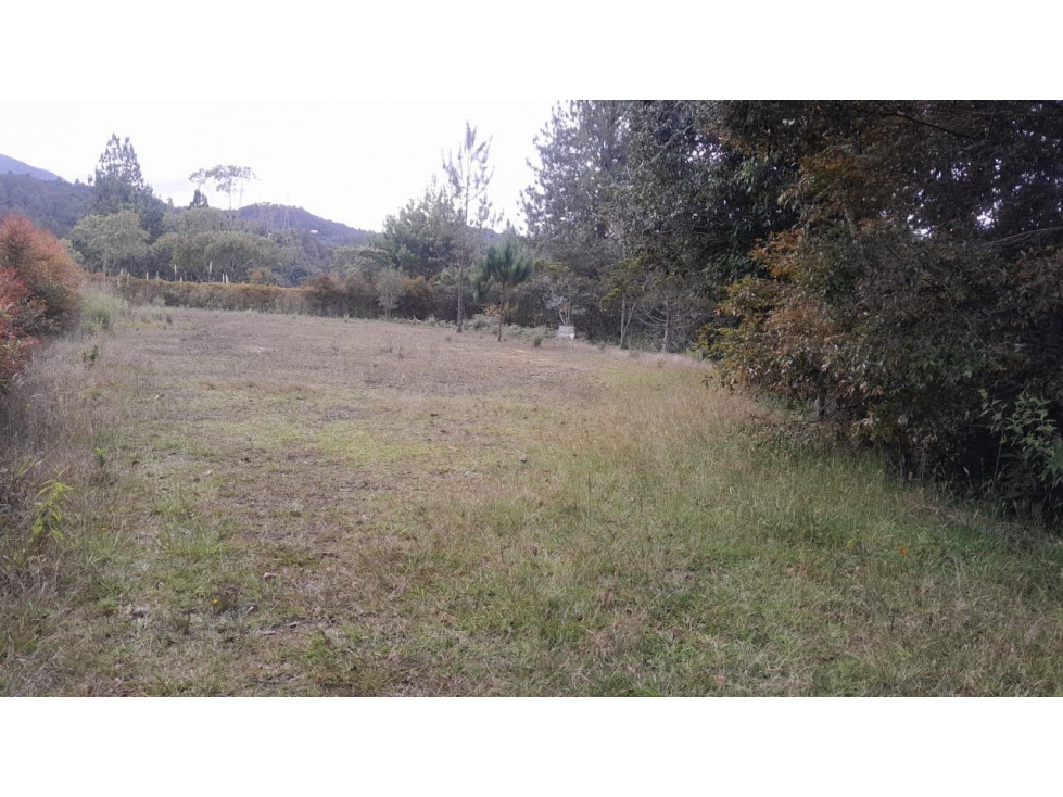 Lote en Hermoso Sector de Alta Valorización en Las Palmas