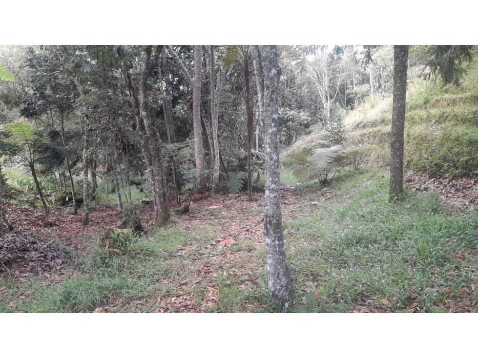 Lote en Hermoso Sector de Alta Valorización en Las Palmas — foto 3