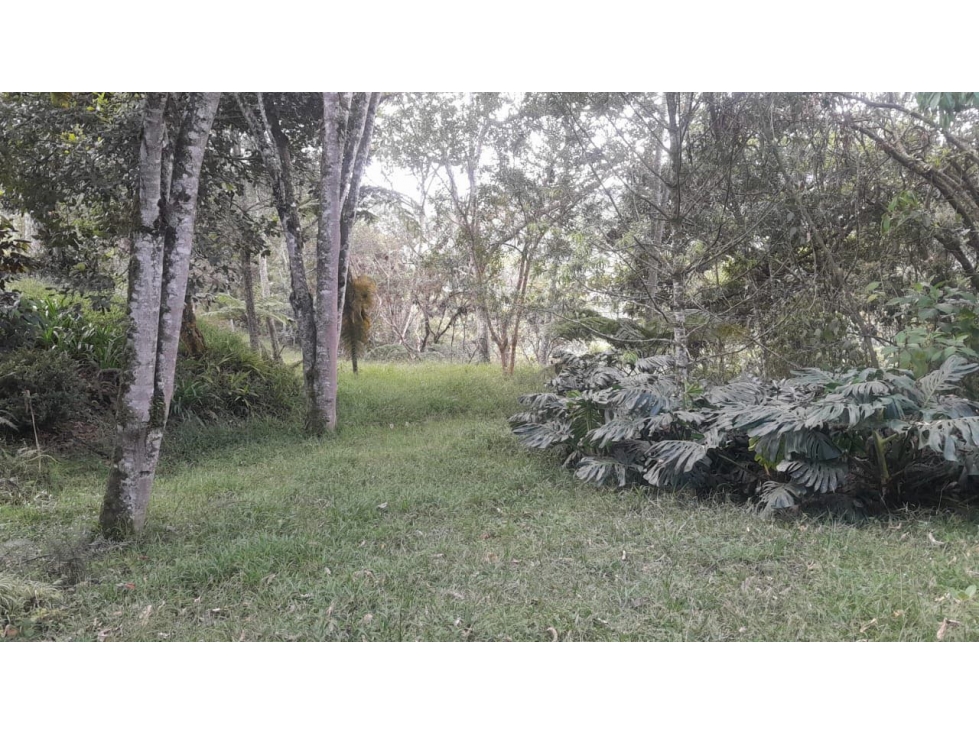 Lote en Hermoso Sector de Alta Valorización en Las Palmas — foto 4