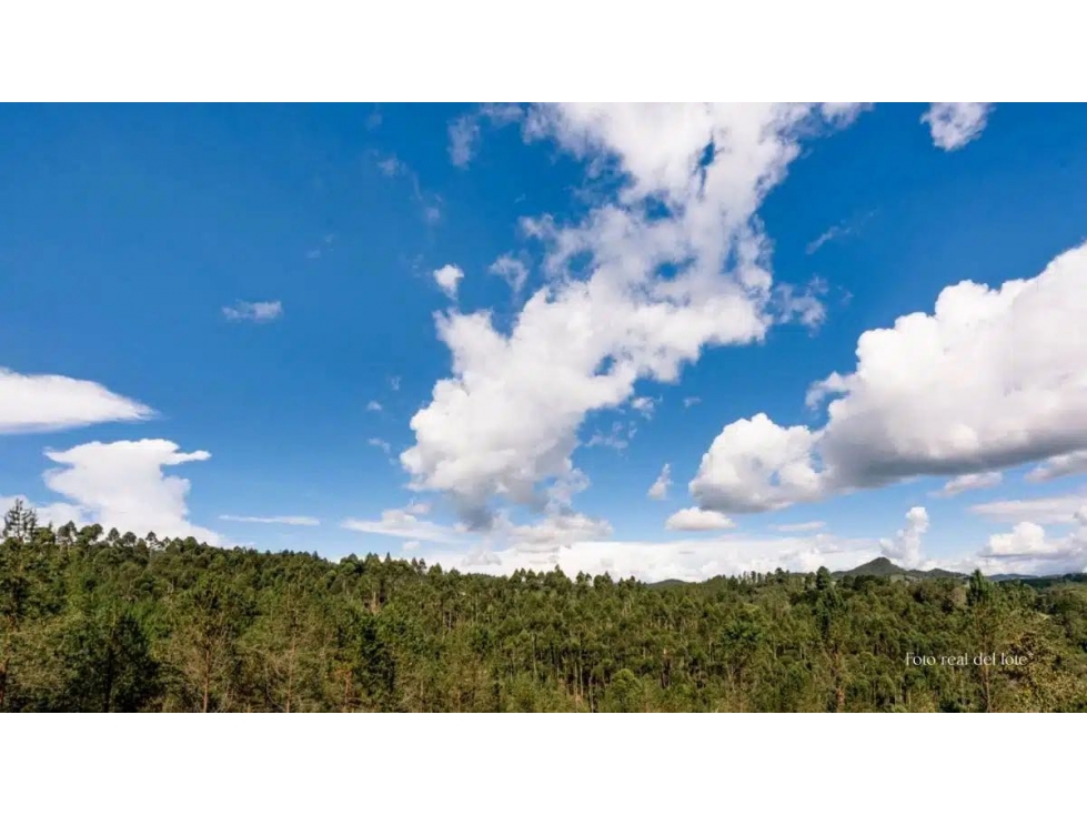 Lote en Horizontes | 3.684 m² | Vía Don Diego La Ceja, Oriente Antio — foto 4