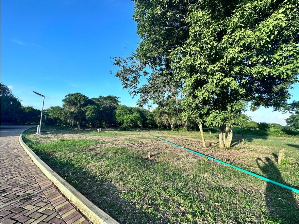 LOTE EN ALBATROS KARIBANA BEACH GOLF, CARTAGENA — foto 6