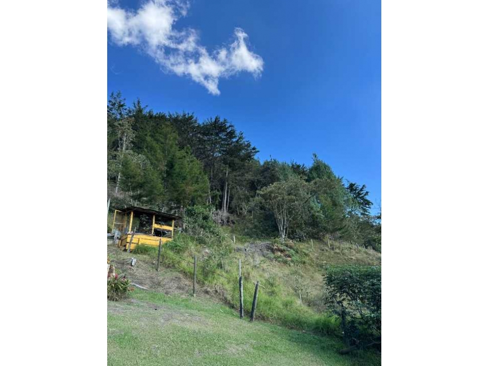 LOTE EN LA CEJA, ANTIOQUIA EN PARCELACION PRESTIGIOSA — foto 4