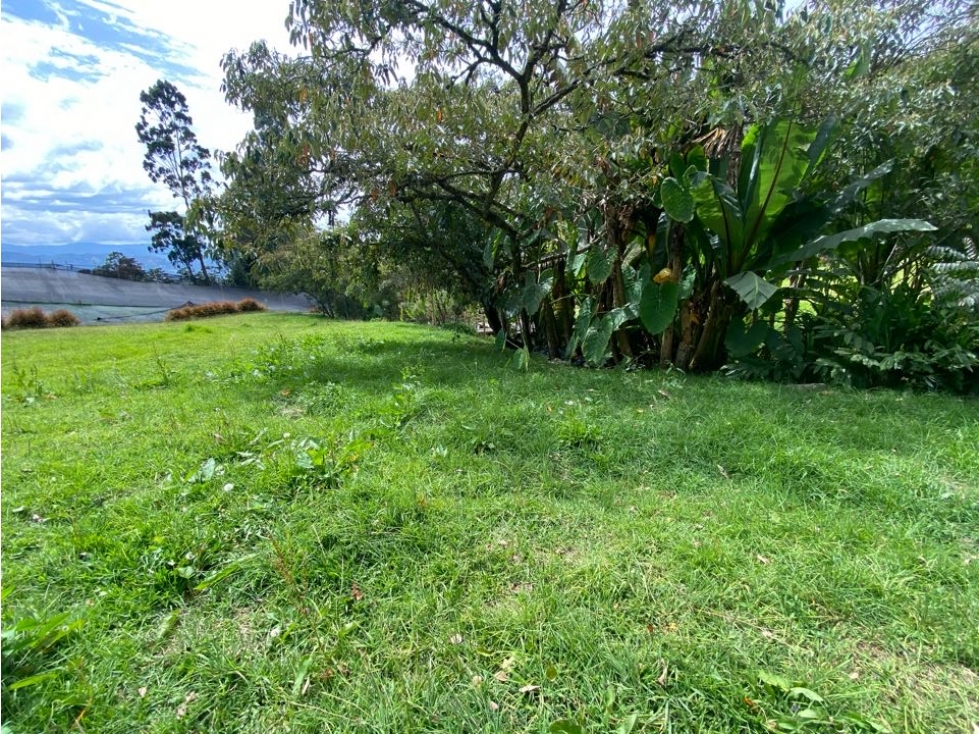 LOTE EN LA CEJA VÍA LA UNIÓN INDEP. A 6KM DEL A CEJA — foto 5
