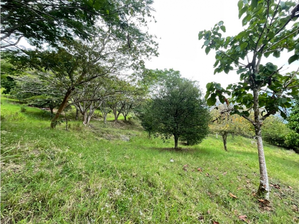 Lote en la Siria con vista a CERRO TUSA — foto 4
