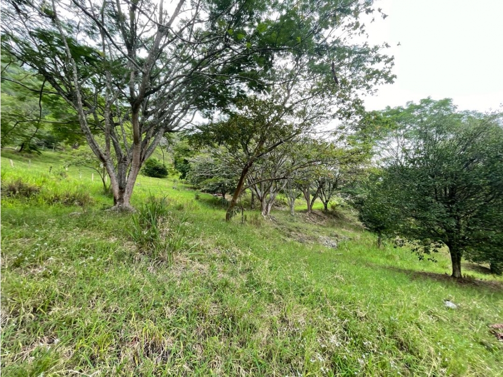 Lote en la Siria con vista a CERRO TUSA — foto 5