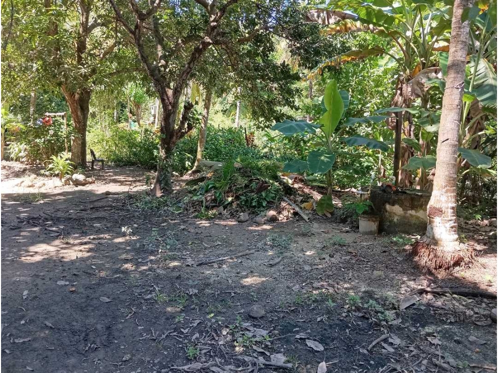 Lote En La Zona Hotelera De Palomino A Tres Calles Del Mar En Colombia