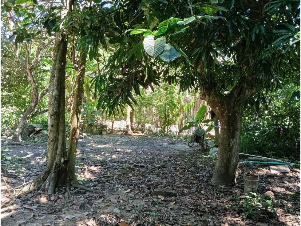 Lote En La Zona Hotelera De Palomino A Tres Calles Del Mar En Colombia — foto 2