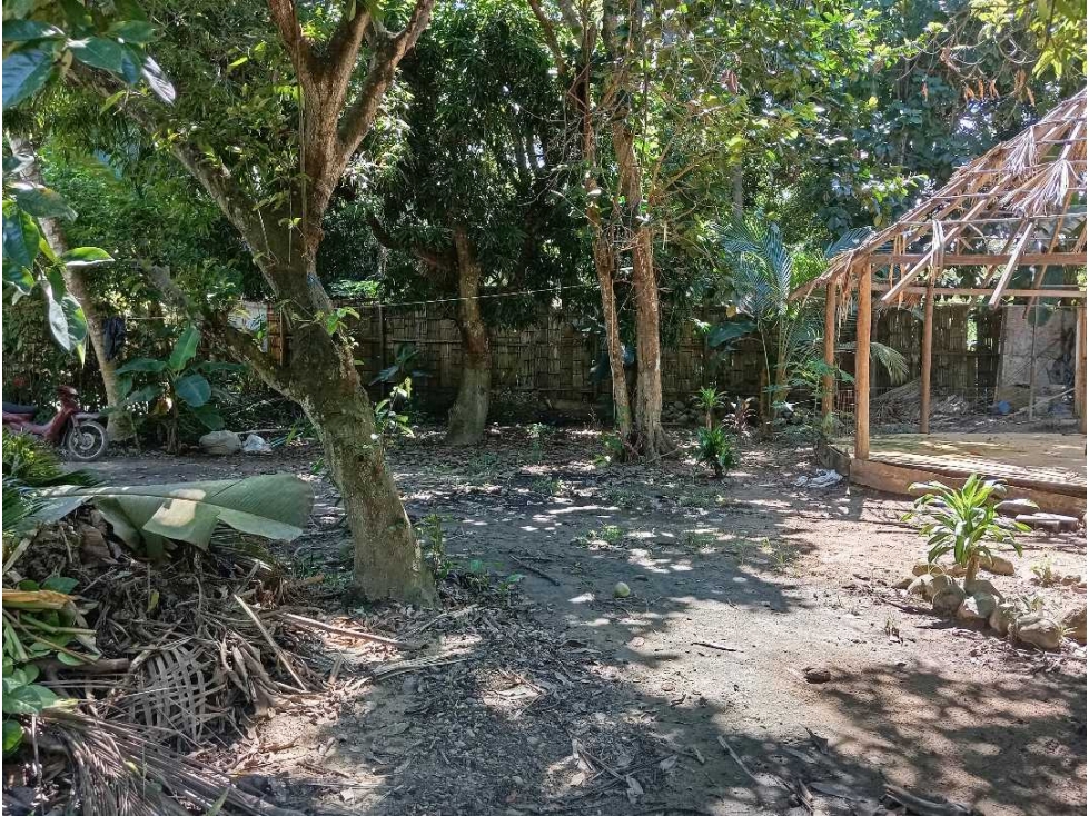 Lote En La Zona Hotelera De Palomino A Tres Calles Del Mar En Colombia — foto 4