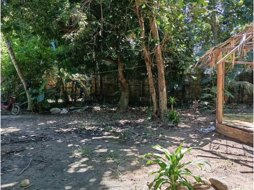 Lote En La Zona Hotelera De Palomino A Tres Calles Del Mar En Colombia — foto 5