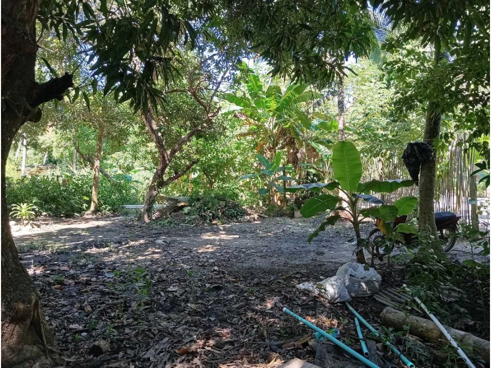 Lote En La Zona Hotelera De Palomino A Tres Calles Del Mar En Colombia — foto 6