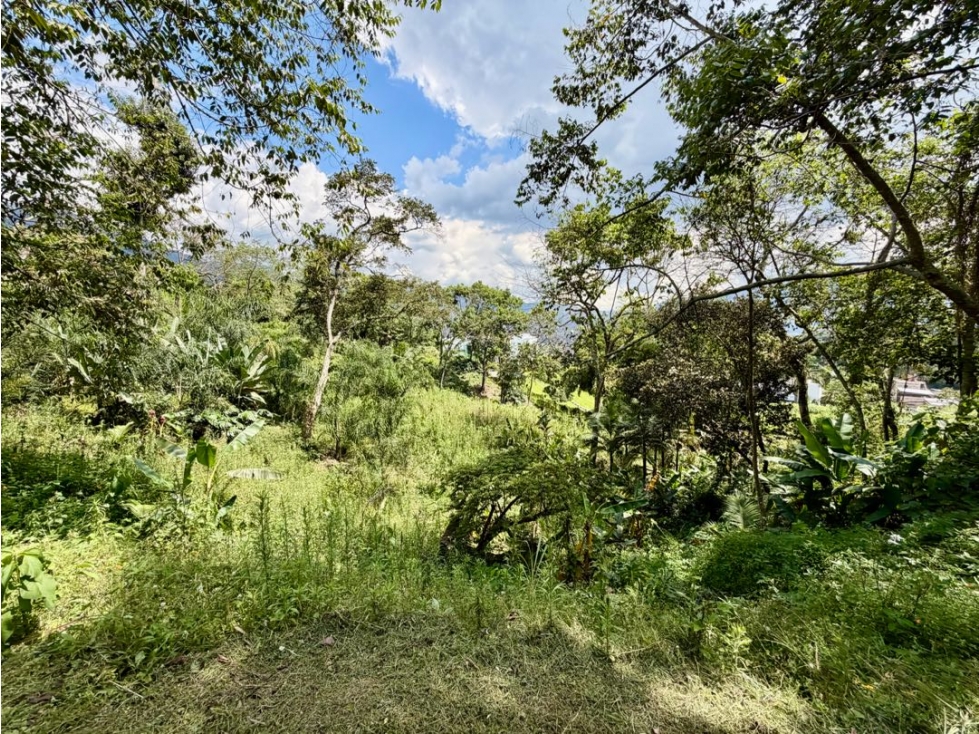 LOTE EN LAS PALMAS — foto 4