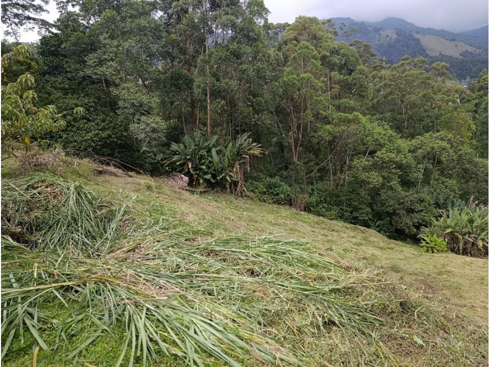LOTE EN LAS PALMAS PARTE BAJA — foto 3