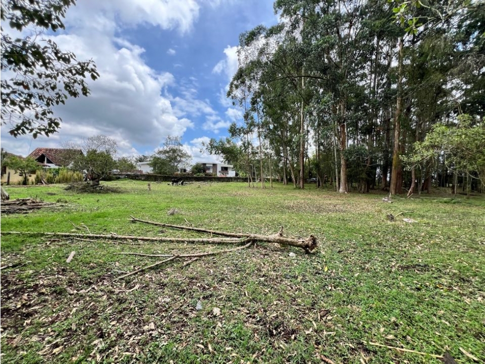 Lote en llanogrande - milla de oro