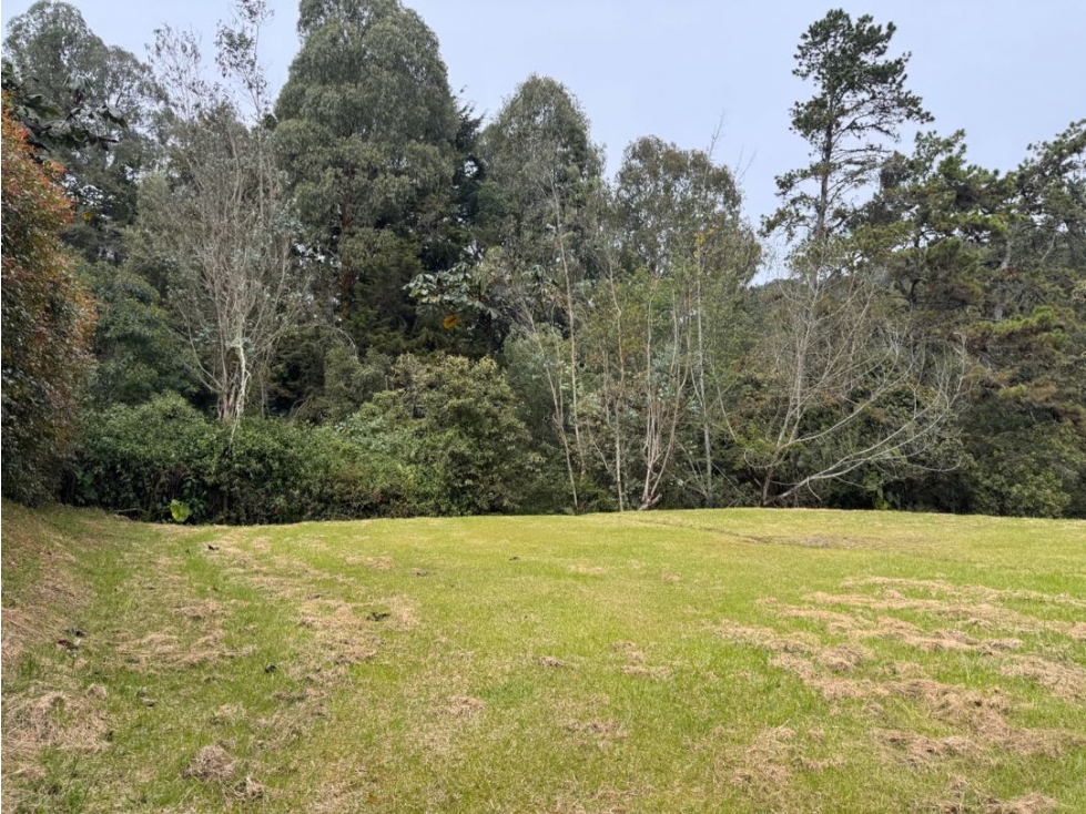 Lote en medio de la naturaleza. Alto de las palmas. Cerca mall Lemont