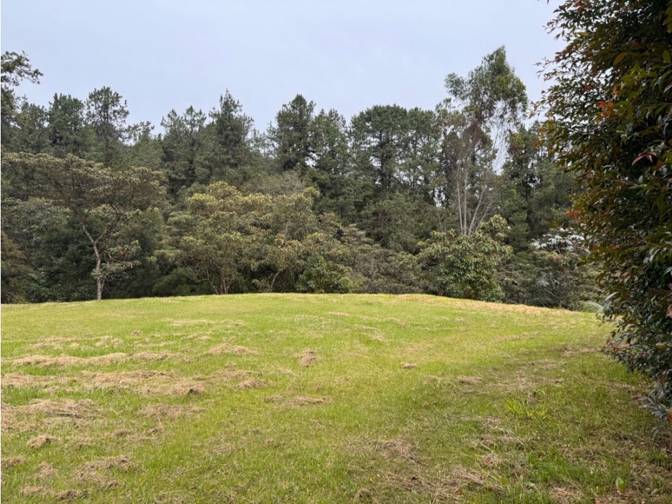 Lote en medio de la naturaleza. Alto de las palmas. Cerca mall Lemont — foto 2