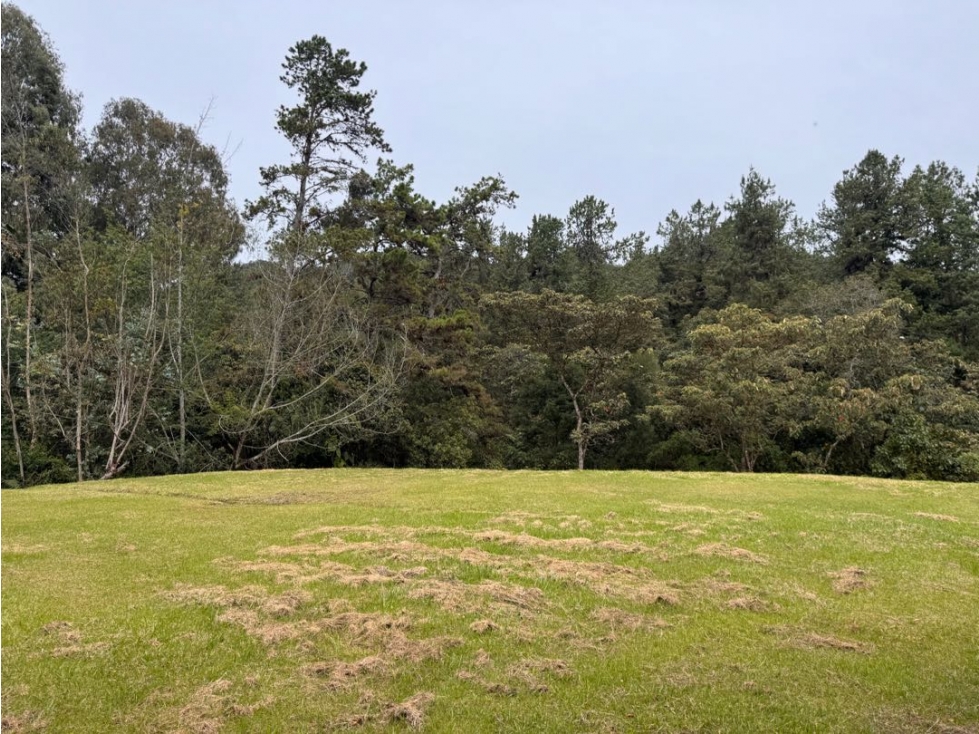 Lote en medio de la naturaleza. Alto de las palmas. Cerca mall Lemont — foto 3