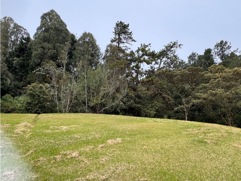 Lote en medio de la naturaleza. Alto de las palmas. Cerca mall Lemont — foto 4