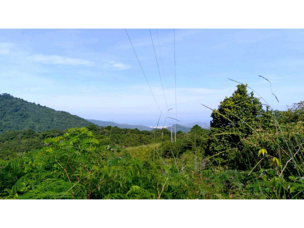 Lote En Minca Por La Via Al Campano Santa Marta Colombia — foto 2