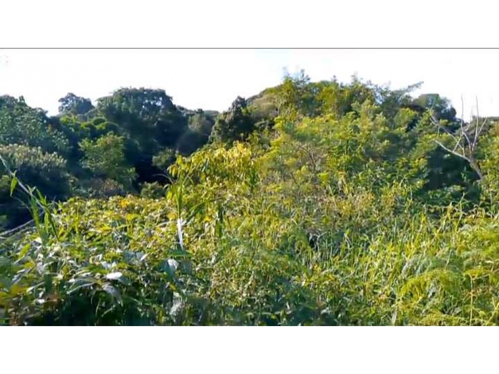 Lote En Minca Por La Via Al Campano Santa Marta Colombia — foto 3