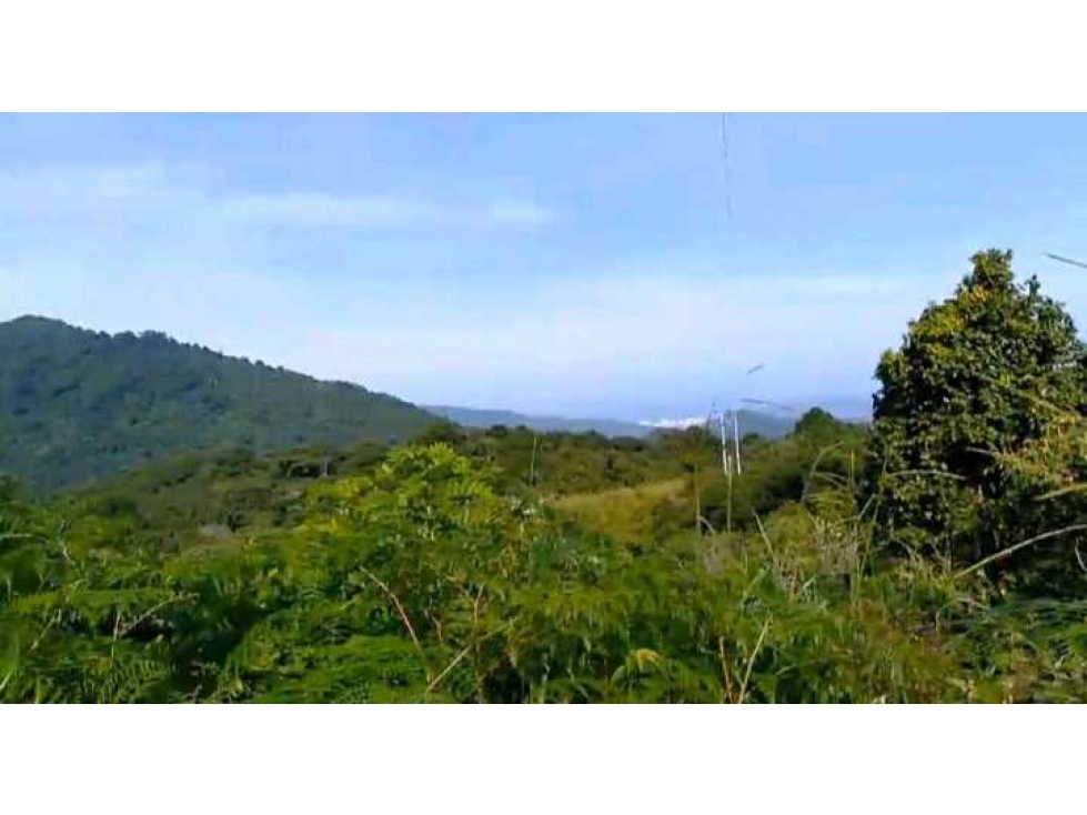 Lote En Minca Por La Via Al Campano Santa Marta Colombia — foto 4