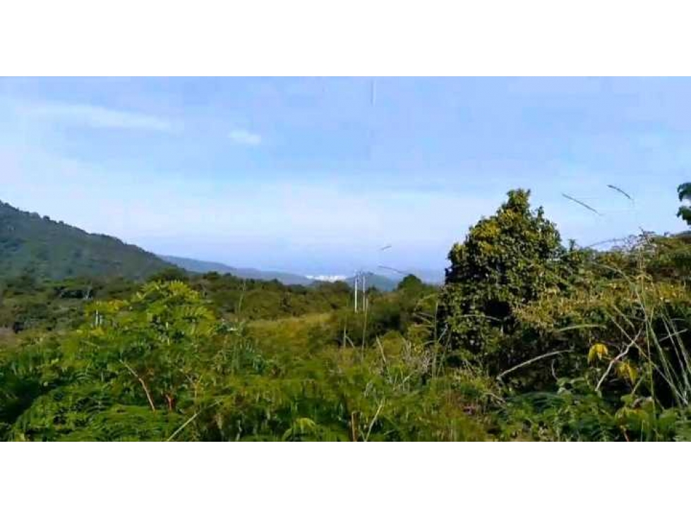 Lote En Minca Por La Via Al Campano Santa Marta Colombia — foto 5