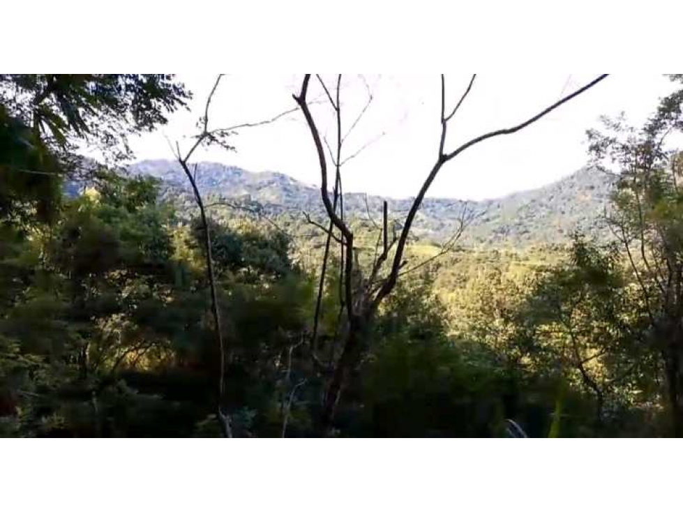 Lote En Minca Por La Via Al Campano Santa Marta Colombia — foto 6