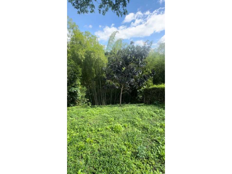 Lote en Montenegro para la Venta - 2