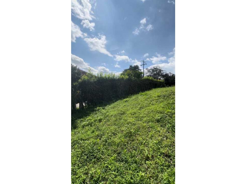 Lote en Montenegro para la Venta - 3