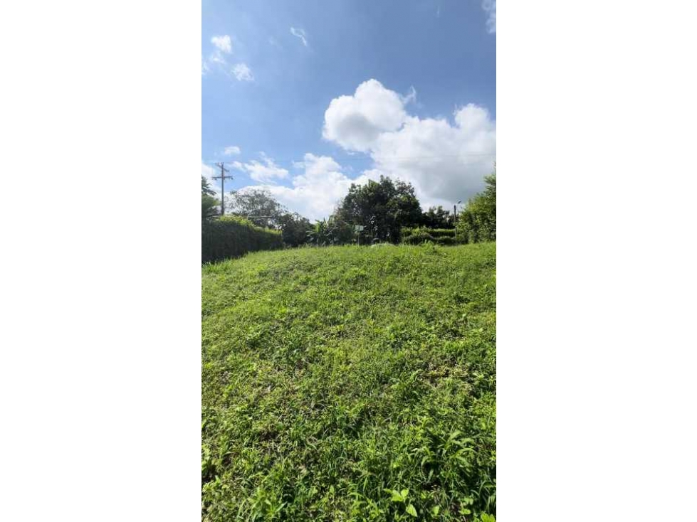 Lote en Montenegro para la Venta - 4