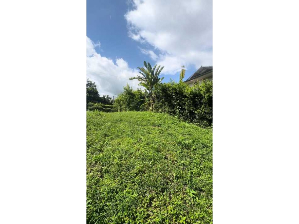 Lote en Montenegro para la Venta - 5