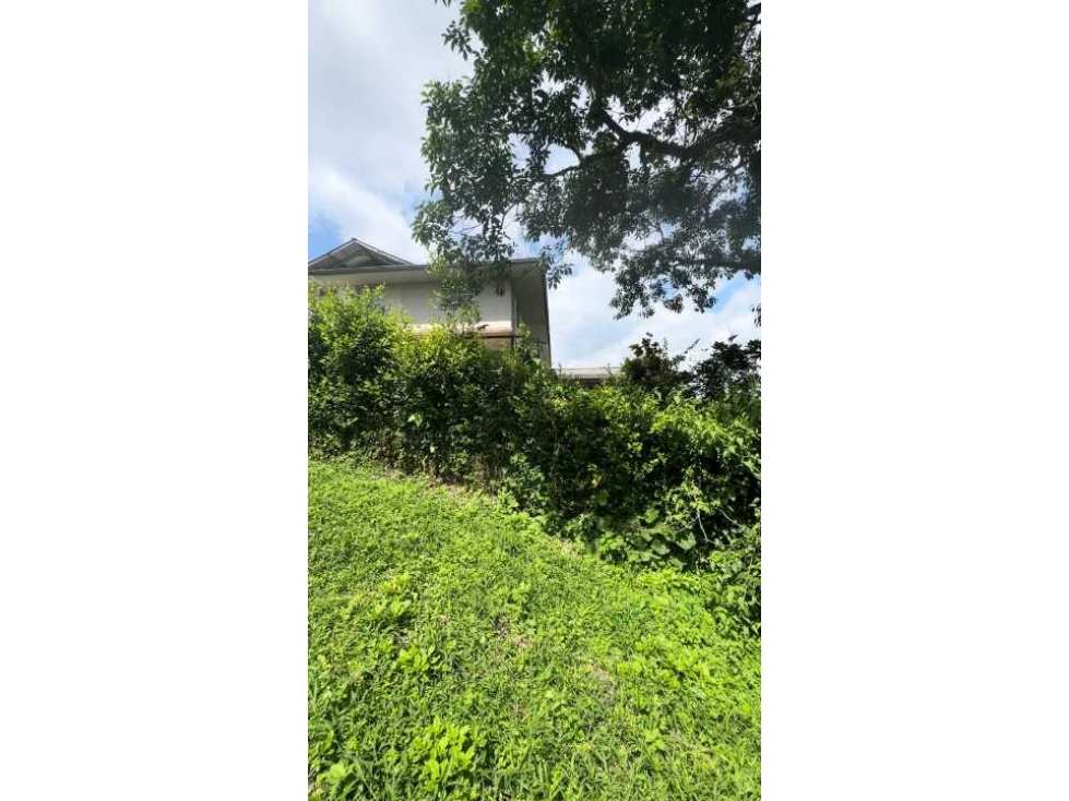 Lote en Montenegro para la Venta - 6