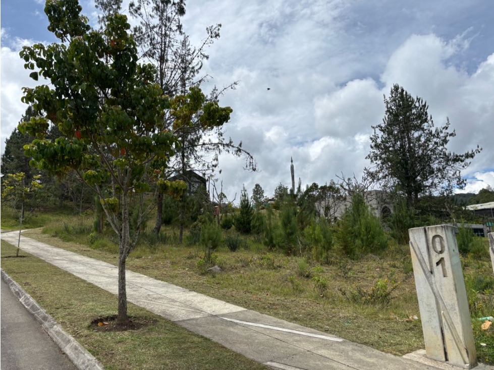 Lote en nuevo alto de palmas #1